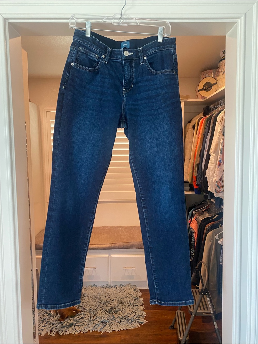 Jag Jeans Deep Indigo Straight Leg Women's Jeans